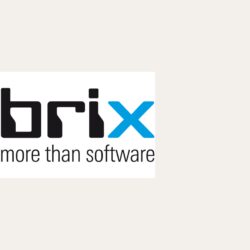 Logo brix Webseite